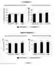 Fig. 04 - BIOCERAMIC COMPOSITIONS AND BIOMODULATORY USES THEREOF