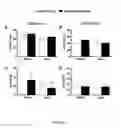Fig. 35 - BIOCERAMIC COMPOSITIONS AND BIOMODULATORY USES THEREOF
