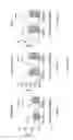 Fig. 41 - BIOCERAMIC COMPOSITIONS AND BIOMODULATORY USES THEREOF