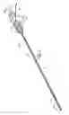 Fig. 02 - TETHERED AND/OR VISUALLY CODED BRACHYTHERAPY DEVICES AND RELATED METHODS