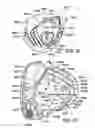 Fig. 45 - Golf club head
