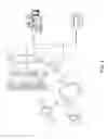 Fig. 02 - PERSONALIZED STROKE RECOGNITION ALGORITHM