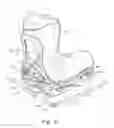 Fig. 03 - Snowboard binding and boot