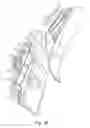 Fig. 11 - Snowboard binding and boot