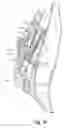 Fig. 12 - Snowboard binding and boot