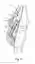 Fig. 13 - Snowboard binding and boot