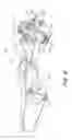 Fig. 14 - Snowboard binding and boot