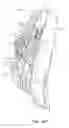 Fig. 16 - Snowboard binding and boot