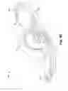 Fig. 11 - Pitch-propelled vehicle