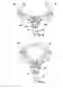 Fig. 08 - Toy apparatus
