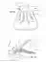 Fig. 06 - Water slide