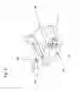 Fig. 32 - Programmable Interactive Toy