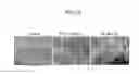 Fig. 03 - Device for isolating periphery circulating tumor cells or rare cells, and method of isolating periphery circulating tumor cells or rare cells