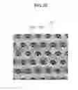 Fig. 05 - Device for isolating periphery circulating tumor cells or rare cells, and method of isolating periphery circulating tumor cells or rare cells