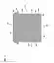 Fig. 11 - Air filter arrangement; air cleaner assembly; and, methods