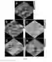 Fig. 08 - Composite Filtration Membranes from Conducting Polymer Nanoparticles and Conventional Polymers