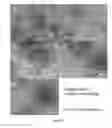Fig. 12 - Composite Filtration Membranes from Conducting Polymer Nanoparticles and Conventional Polymers