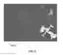 Fig. 06 - ZWITTERIONIC SULFONE POLYMER FLAT SHEET MEMBRANE