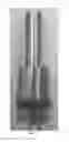 Fig. 08 - ULTRASONIC SYSTEM FOR MIXING MULTIPHASE MEDIA AND LIQUIDS, AND ASSOCIATED METHOD