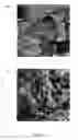 Fig. 08 - Device, system, and method for producing advanced oxidation products