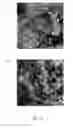 Fig. 08 - Device, system, and method for producing advanced oxidation products