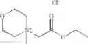 Fig. 19 - Bleach catalysts