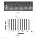 Fig. 14 - Microfluidic methods for manipulating DNA