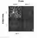 Fig. 16 - Microfluidic methods for manipulating DNA