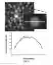 Fig. 17 - Microfluidic methods for manipulating DNA