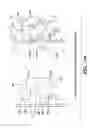 Fig. 30 - DISPOSABLE SEPARATOR/CONCENTRATOR DEVICE AND METHOD OF USE