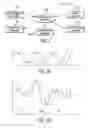 Fig. 03 - Sprinkler assembly
