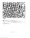 Fig. 12 - NANOPARTICLE COATED SUBSTRATES AND METHOD OF MAKING THE SAME