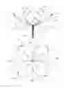 Fig. 02 - Retrieval snare for extracting foreign objects from body cavities and method for manufacturing thereof