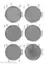 Fig. 08 - Advanced polishing pad materials and formulations