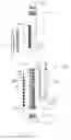 Fig. 04 - Apparatus for accommodating screws and a screw driver