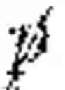 Fig. 05 - Calibration and programming of robots