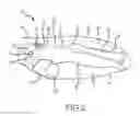 Fig. 04 - Rotational wedge locking mechanism for a folding knife