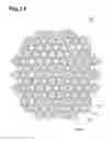 Fig. 13 - METHOD FOR PRODUCING HONEYCOMB STRUCTURES AND CLOSING TOOL FOR GREEN HONEYCOMB MOLDED BODIES