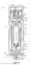 Fig. 03 - Actuator system for rotating valve pin