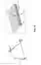 Fig. 16 - Deterministic assembly of complex, three-dimensional architectures by compressive buckling