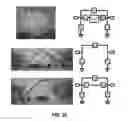 Fig. 27 - Deterministic assembly of complex, three-dimensional architectures by compressive buckling