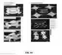 Fig. 37 - Deterministic assembly of complex, three-dimensional architectures by compressive buckling