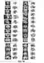 Fig. 52 - Deterministic assembly of complex, three-dimensional architectures by compressive buckling