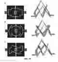 Fig. 75 - Deterministic assembly of complex, three-dimensional architectures by compressive buckling