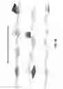 Fig. 85 - Deterministic assembly of complex, three-dimensional architectures by compressive buckling