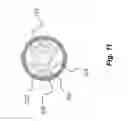 Fig. 12 - Build platform leveling and homing