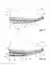 Fig. 04 - Decorated Sole Elements for Articles of Footwear and Processes for Making Thereof