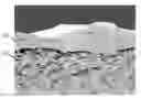 Fig. 01 - Porous Articles Formed From Polyparaxylylene and Processes For Forming The Same