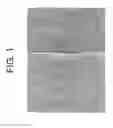 Fig. 02 - Porous Articles Formed From Polyparaxylylene and Processes For Forming The Same