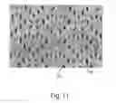 Fig. 08 - ZONAL PATTERNED APERTURED WEBS, LAMINATES, AND METHODS FOR MAKING THE SAME